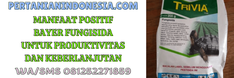 manfaat,dampak,positif,produk,pertanian indonesia